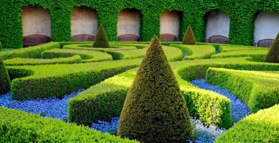 Alsace Concept Vert