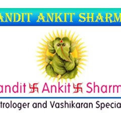 Famous Astrologer Tarot Card Reader