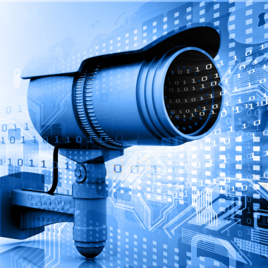 Pro Investigations I Private Detective