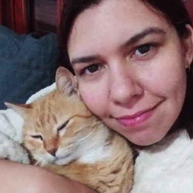 A Louca Dos Gatos