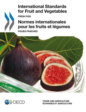 Création graphique livret OCDE