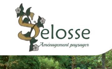 Selosse