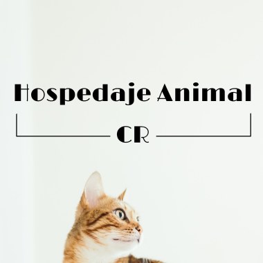Hospedaje Animal Cr