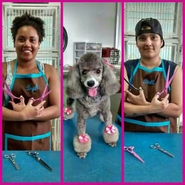 Pet Mania Estética Animal 