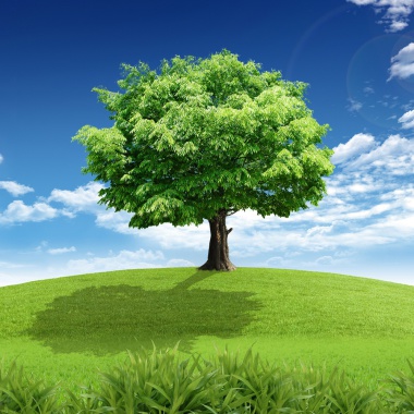 Vert Nature