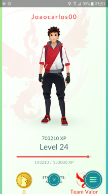Perfil no jogo.