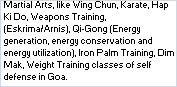 Wing Chun Kung Fu