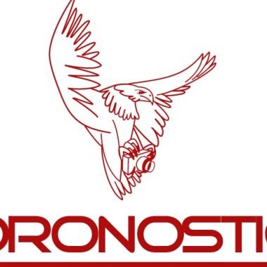 Dronostic