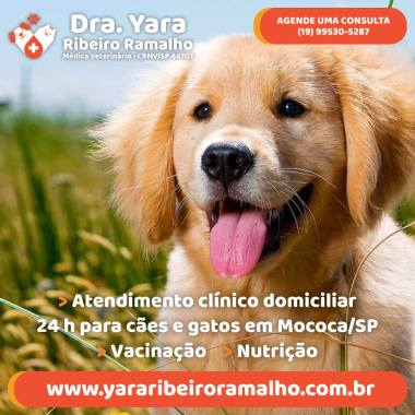 Dra. Yara Ribeiro Ramalho - Médica Veterinária em Mococa/SP