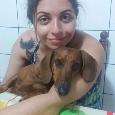 Passeador De Cães