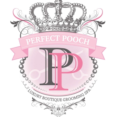 Perfect Pooch Ltd