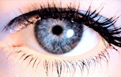 Image'In