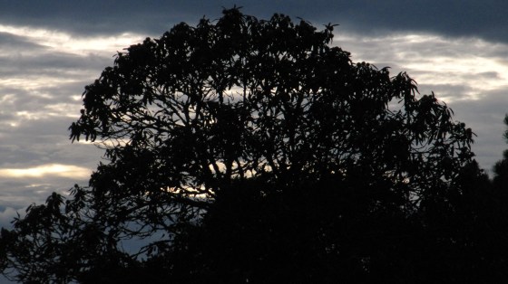 Natureza