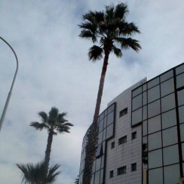 Restanc Sarl