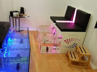 Fiskespa