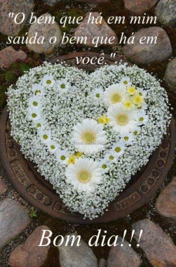 IMG-20170611-WA0001.jpg