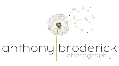 Anthony Broderick