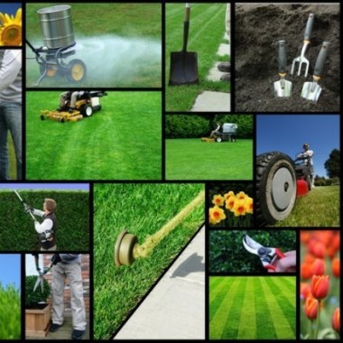 Jardinería Y Mantencion