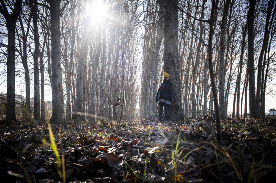 La dolce attesa. Foto reportage di nascita. Una donna a pochi giorni dal parto, in un bosco di betulle. D'Amicis fotografo.