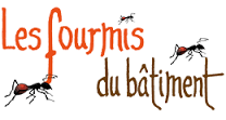 Les Fourmis Du Bâtiment 