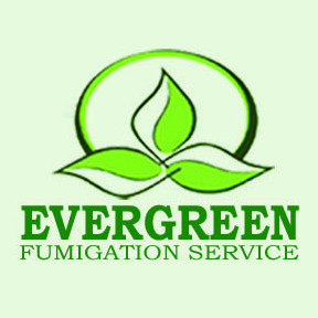 Evergreen Fumigation Services