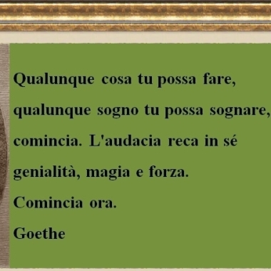 Avv. Antonella Fortunato 
