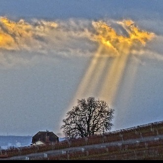 Nbphotographies