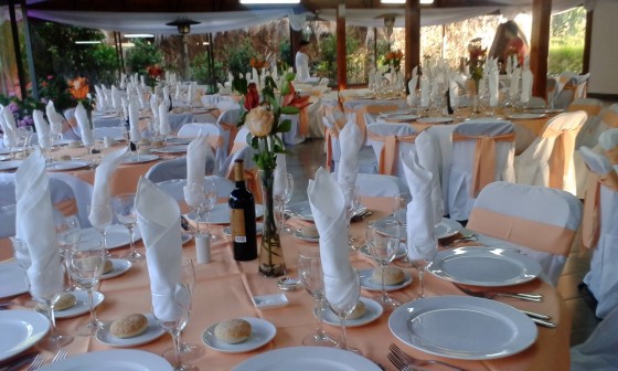 Fiesta de Fin de año, Empresa, Hermoso Centro de Eventos en Calera de Tango. 120 invitados.