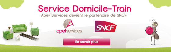 accompagnement domicile train : prise en charge des personnes de leur domicile à la gare et inversement (aide à la personne, gestion des bagages, aide à l'installation dans le train, compostage, aide à la fermeture/ouverture de maison...etc...)
