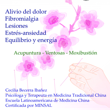 Acupuntura Cecilia Becerra