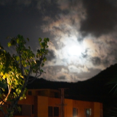 Argenis Marcano