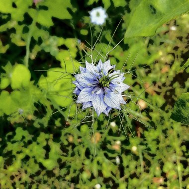 Ffphotographie