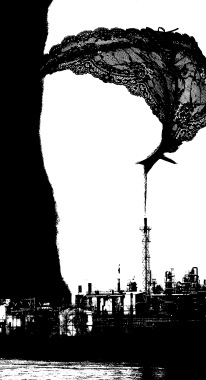 Illustration libre