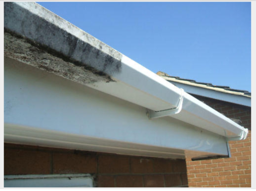 Dirty Gutters returned to New
