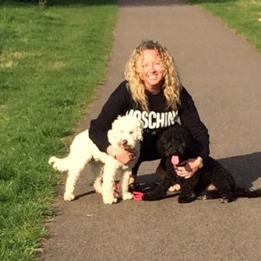 Sarah'S Dog Walks