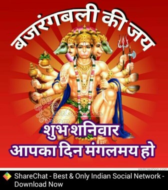 Best Astrologer India