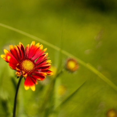 H&R Photography