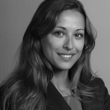 Avocat En Droit Des Affaires Professionnel