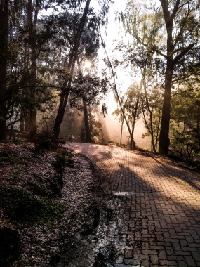 Morning lights at Kodaikanal.