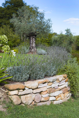 MASSIF DECORATIF