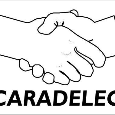 Caradelec Coaching