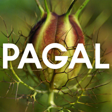 Pagal Creative. Studio Fotografii I Grafiki