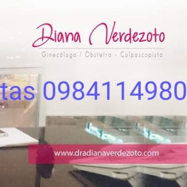 Diana Verdezoto Vervelfem