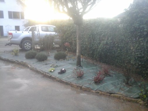plantation de diferent vegetaux dans un massif