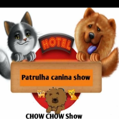 Hotel Patrulha Canina Show