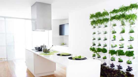07603407-photo-une-cuisine-green.jpg