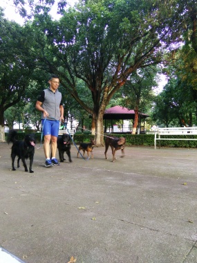 Compartiendo en el jardín.