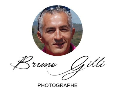 Bruno Gilli