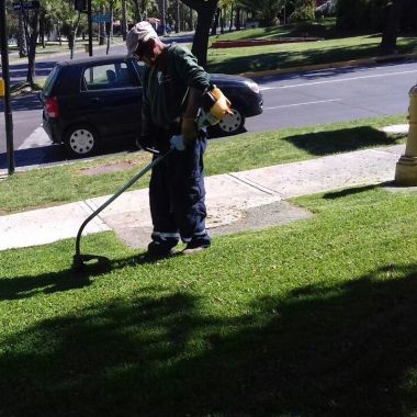 Jardineria San Bernardo