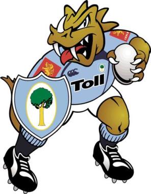 Northland Taniwha 2010 (Small).jpg